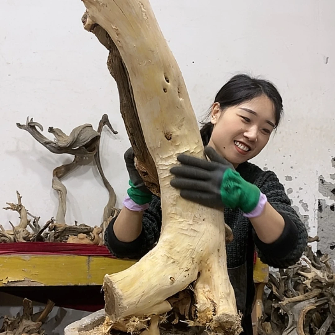 【闪购商品】柏木上****签我们都是好孩子