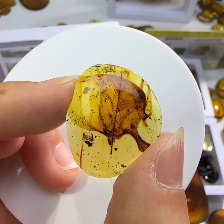 琥珀未镶嵌裸石虫珀标本