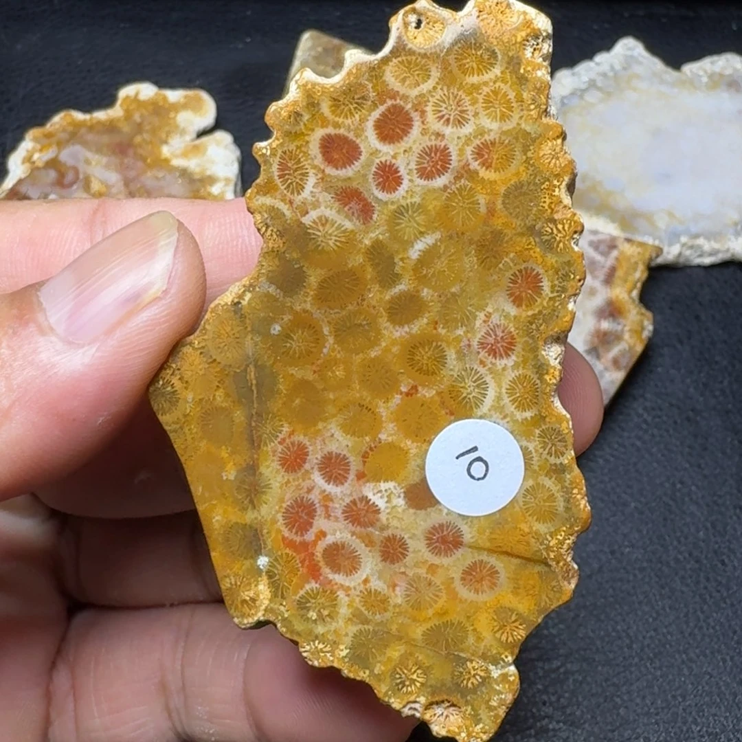 硅化玉纯天然色有机玉石保真色片料未镶嵌一件也包邮