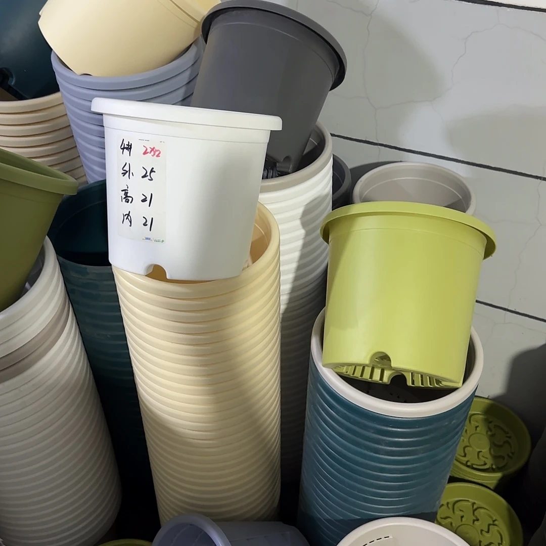 微瑕4号8个无托，果绿