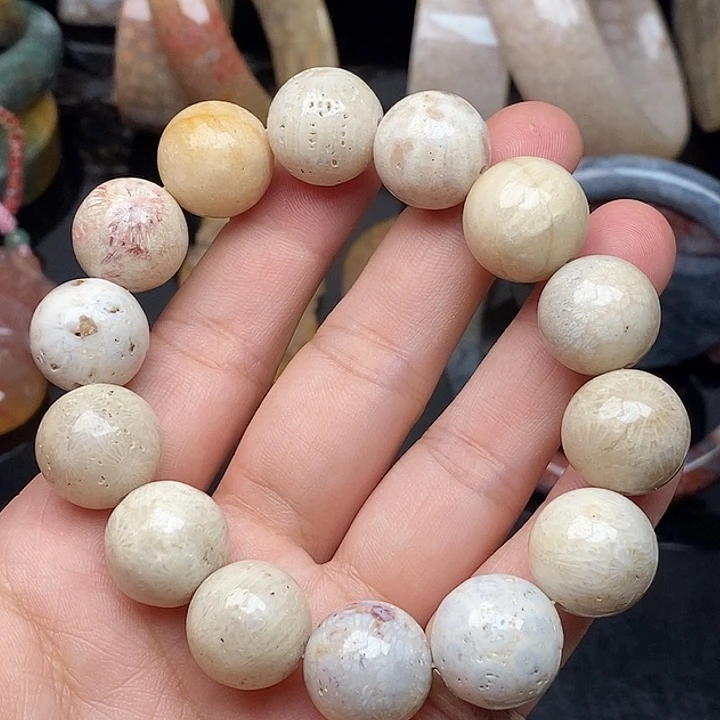 硅化玉未镶嵌颈饰