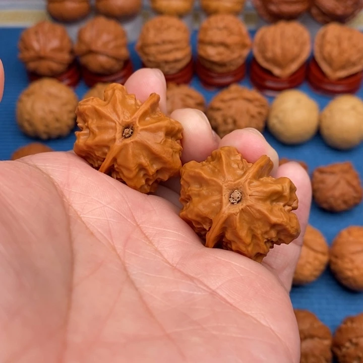 文玩核桃把件蝴蝶龙脊