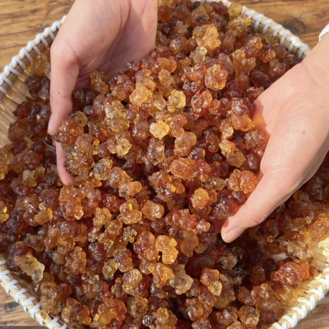 桃胶珍珠 可炖煮