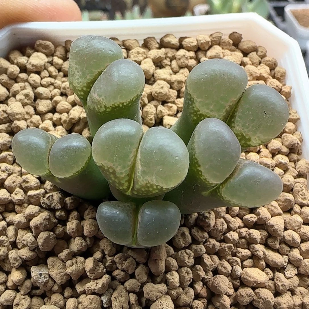 哈哈哈哈哈哈哈48922