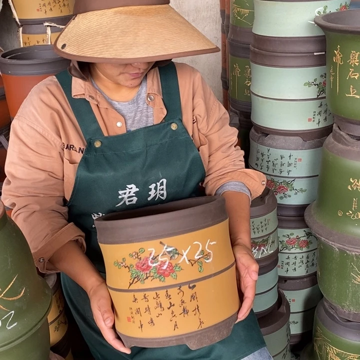 紫砂花盆盆栽花卉苗木种植