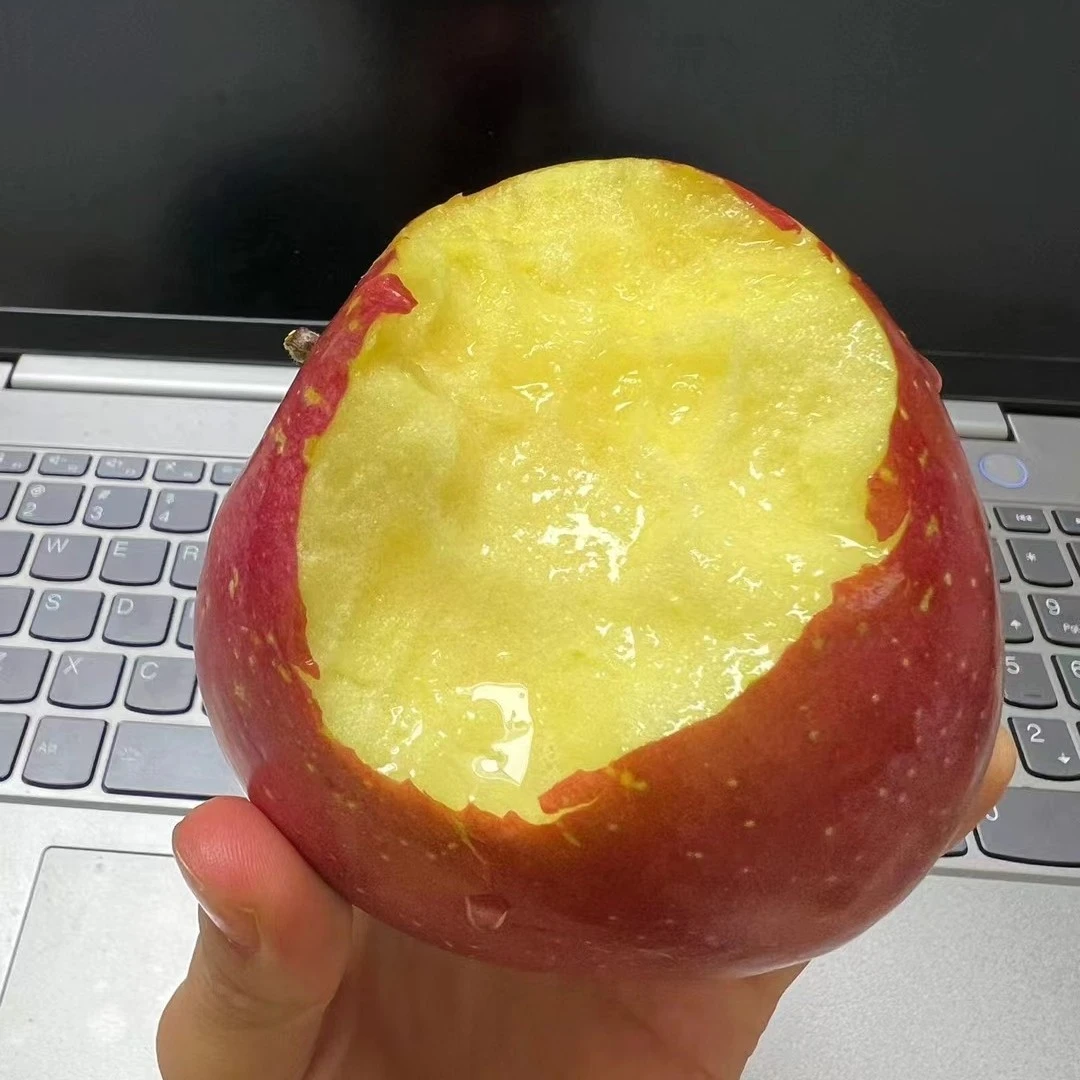 贵州威宁中水高山最晚熟冰糖心丑苹果现摘现发脆甜多汁新鲜水果