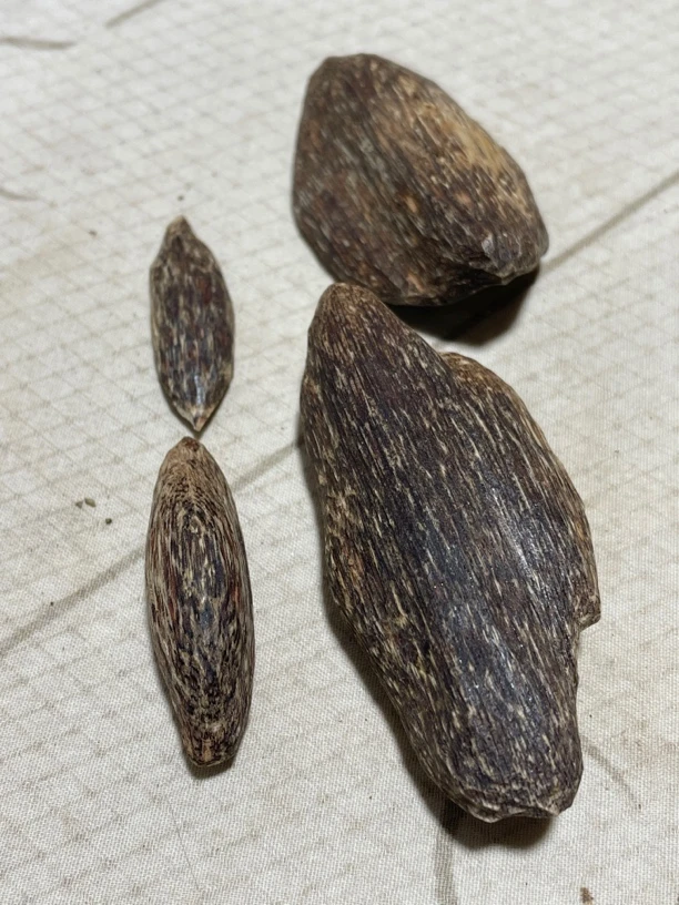 沉香树心虫包香4个6.8克，虫咬一口产生，结香树干部位，清香干净，