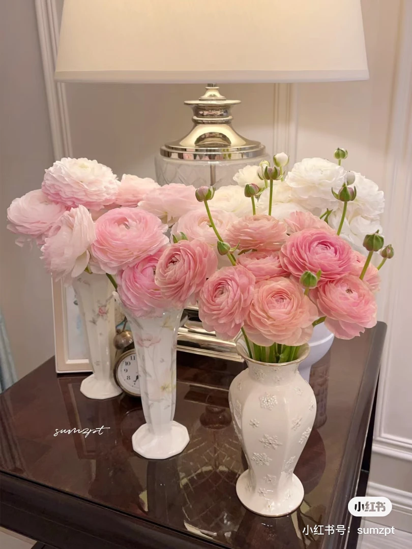 随机色洋牡丹30支到手3扎