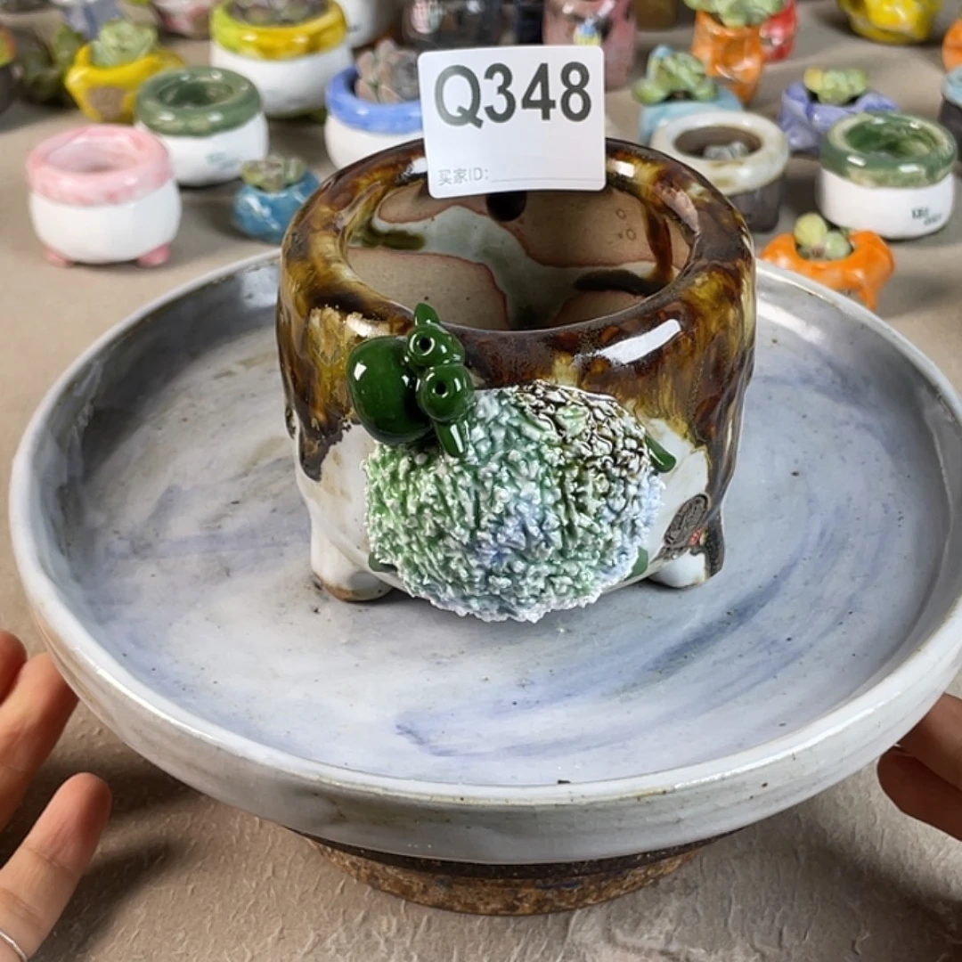 小白孤品 立体 大羊 微次 内口6.7百搭