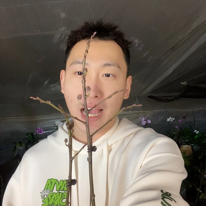 无花朵年年有余带花剑