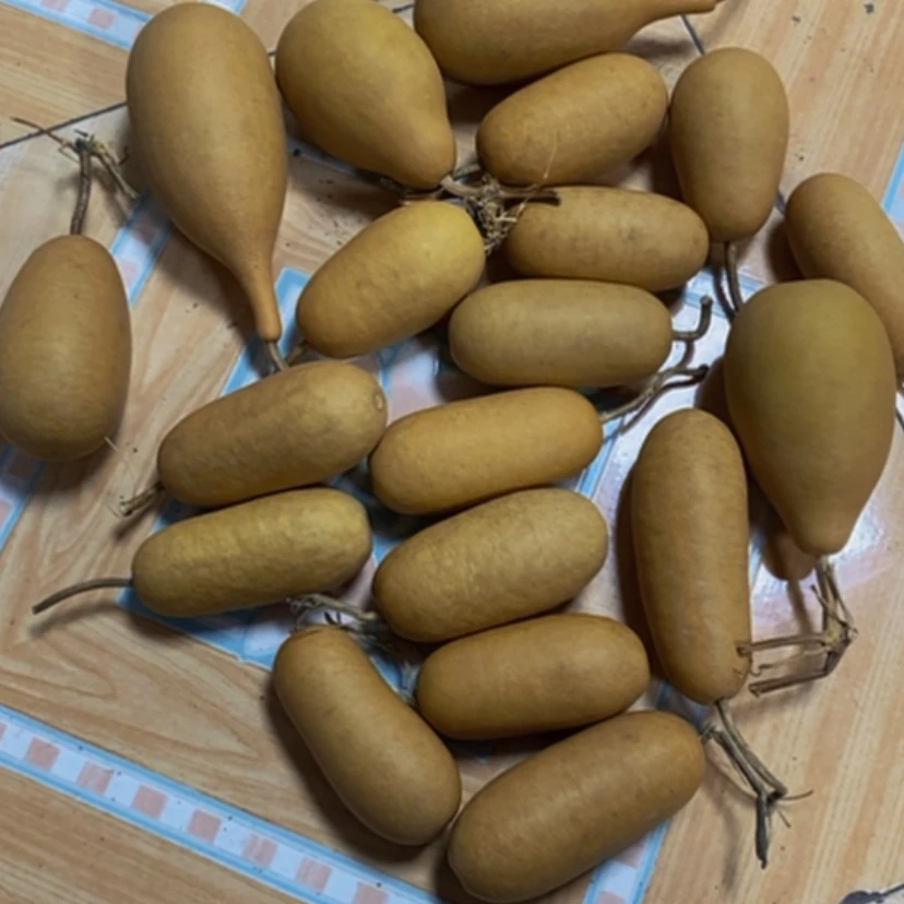 【闪购商品】二十个冬瓜四十块钱