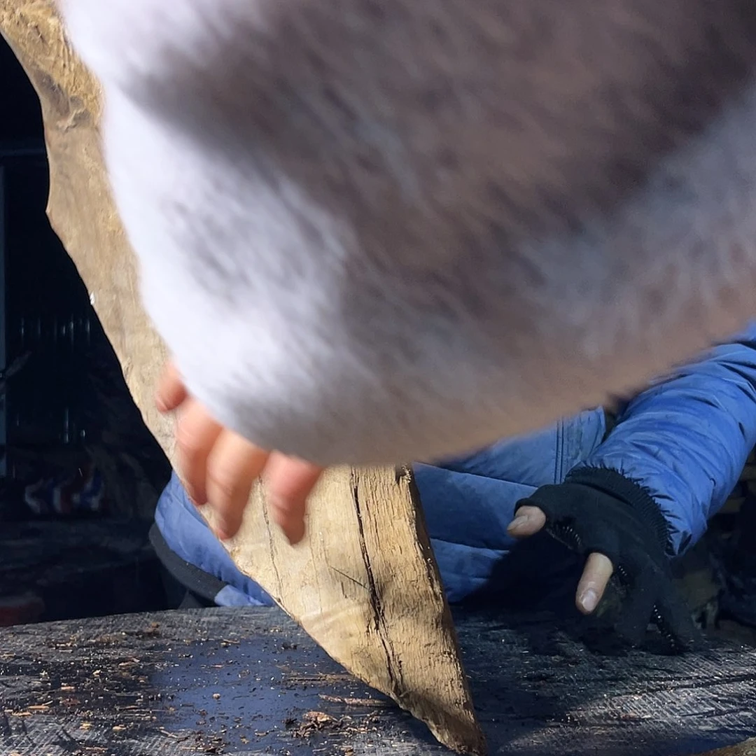 金丝楠庄*哥原材料