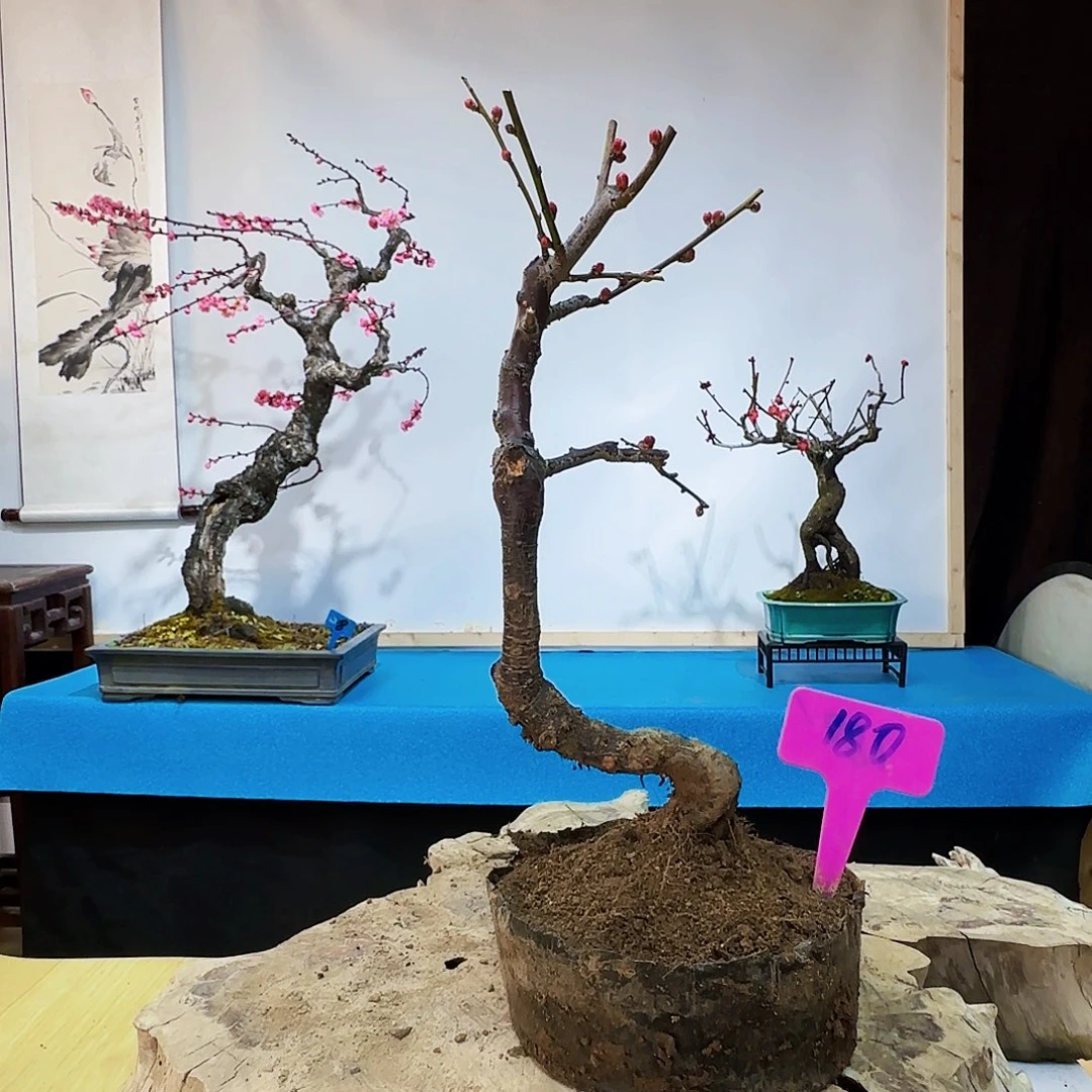 无铅玻璃难****.f g h j j m k