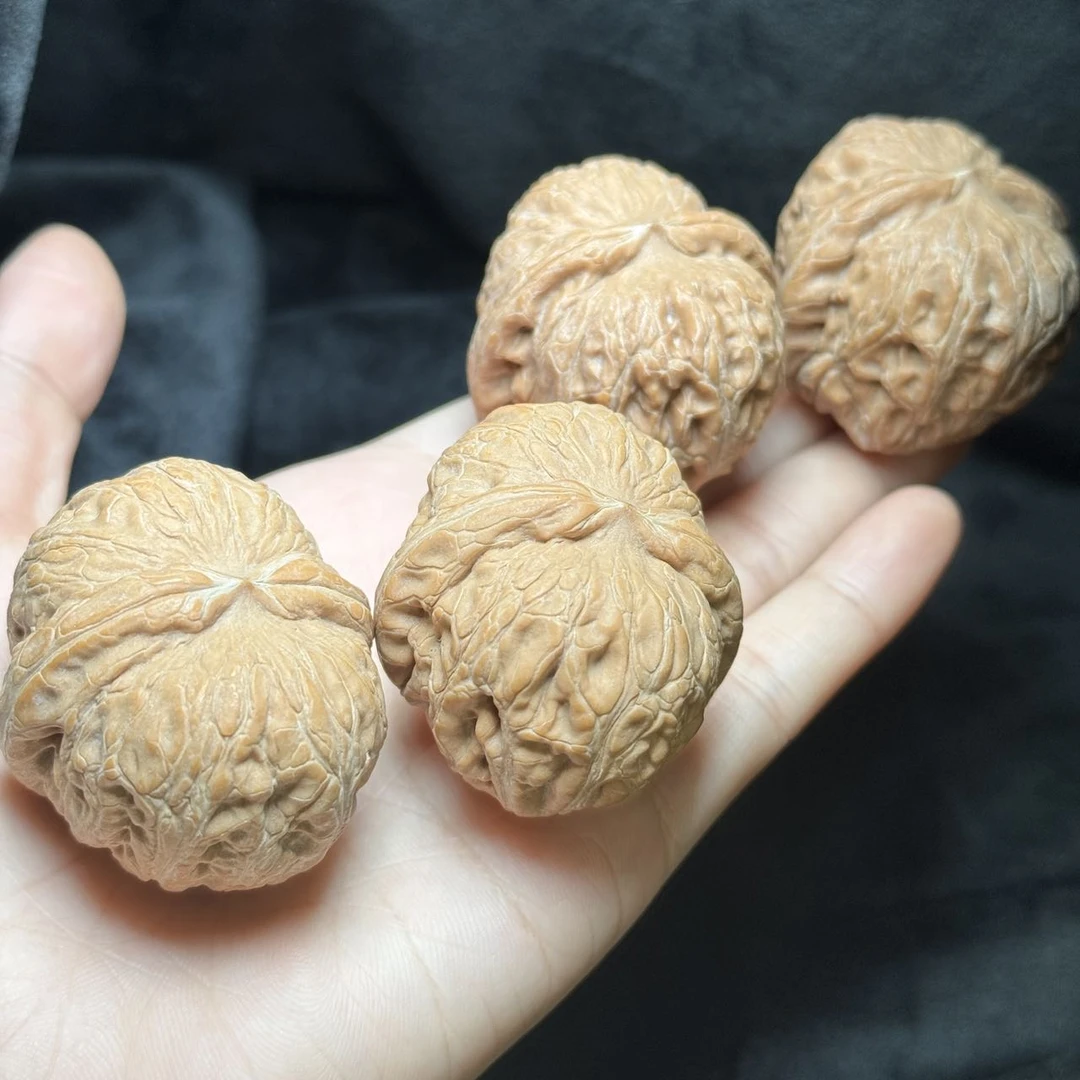 【阿钰推荐】LY08637-核桃元宝(全品)-多样性发其一-37mm