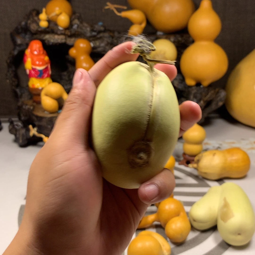 5***望哈哈哈哈哈哈哈哈哈哈哈