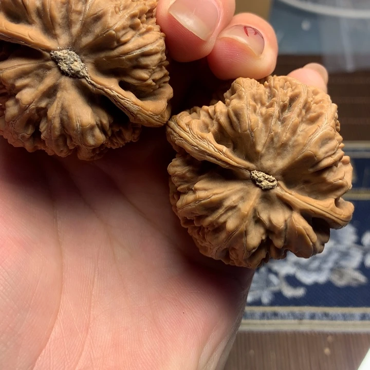 吊坠文玩核桃暴**.粗筋