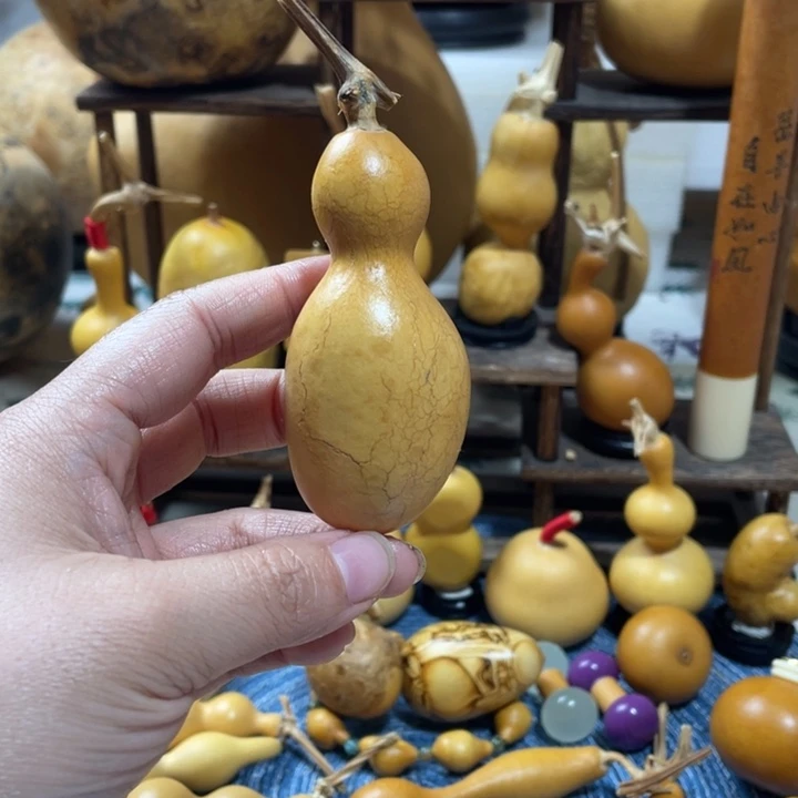 (****飘20美好的一天从全球
