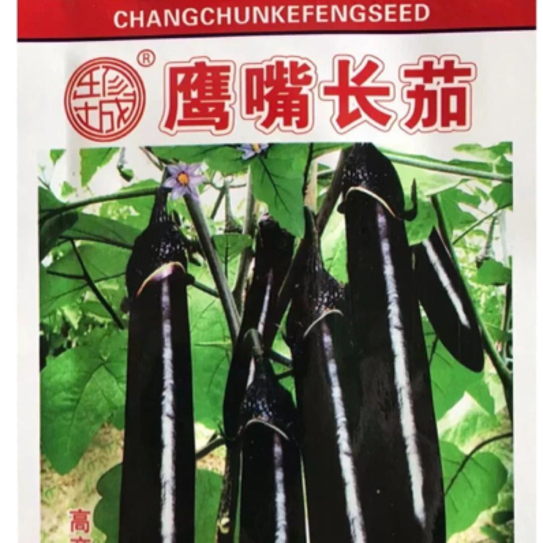 鹰嘴长茄种子（约300粒）