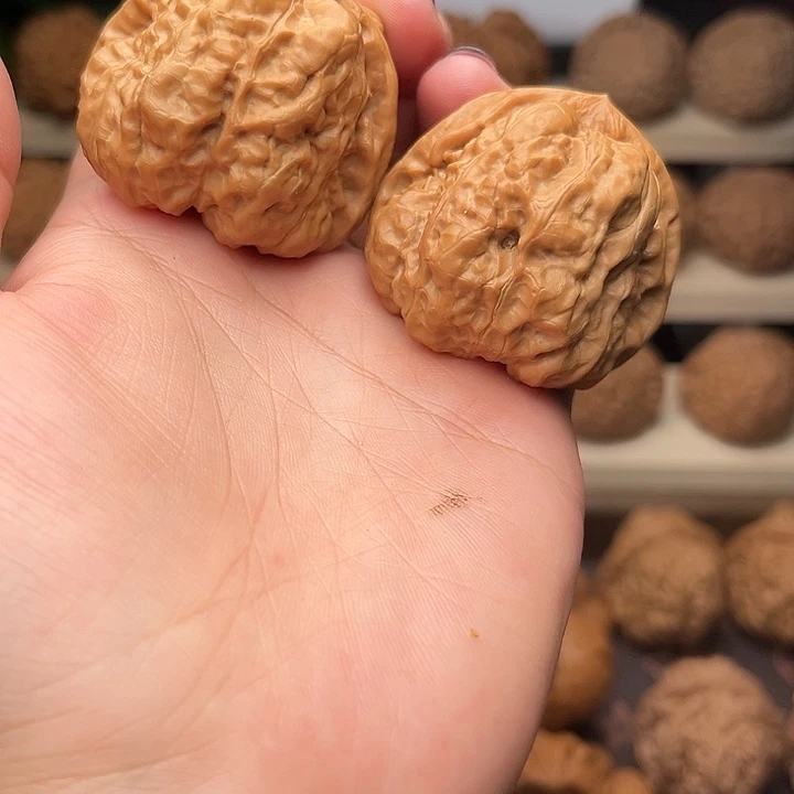 木质42蛤蟆头福利对