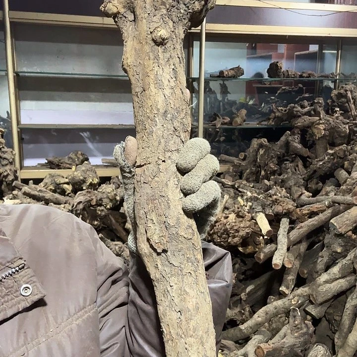 香榧木远*火琉璃的故事毛料摆件
