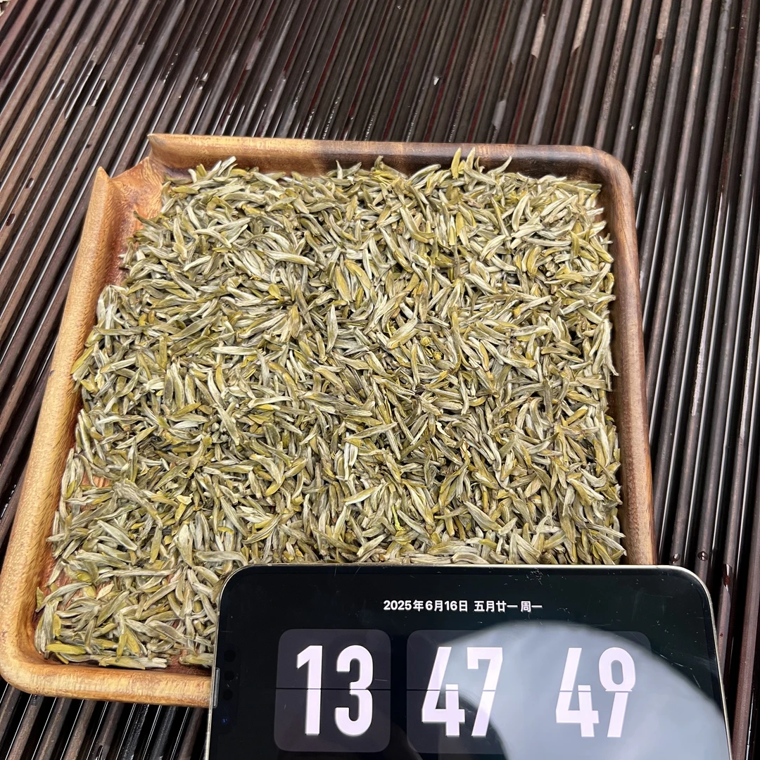 茉莉金龍毫 小鹿收茶 茉莉花茶 6月16