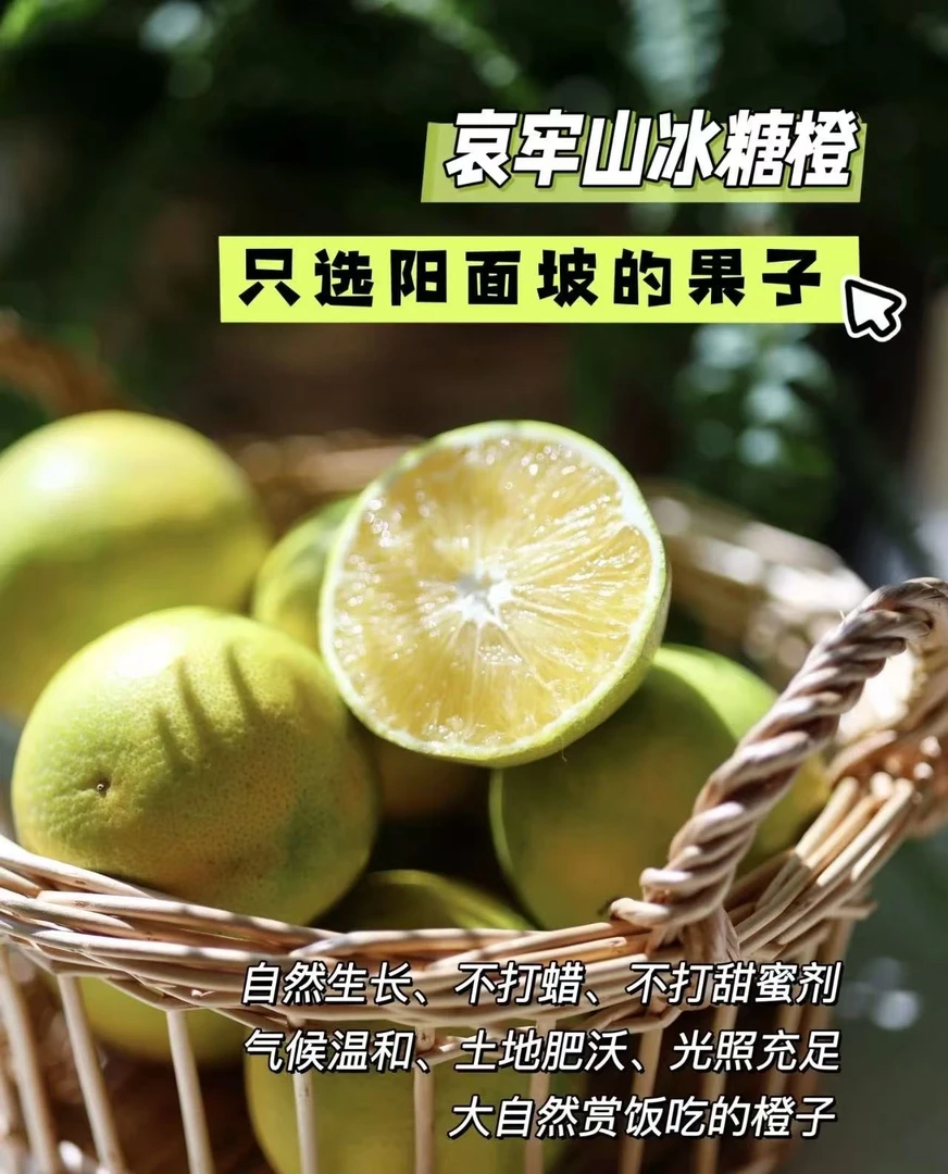 哀牢山甜橙【顺丰包邮】
