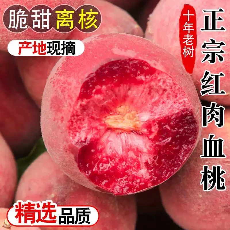 【顺丰发货】正宗老树血桃新鲜应季水果脆甜多汁红心血桃