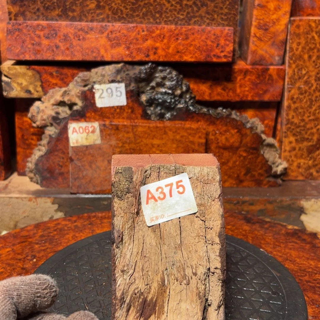 大果紫檀（缅甸花梨）松*园