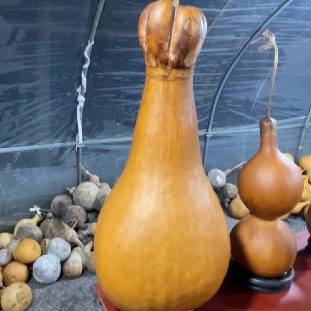 泰***来银S925葫芦直播间一物一拍