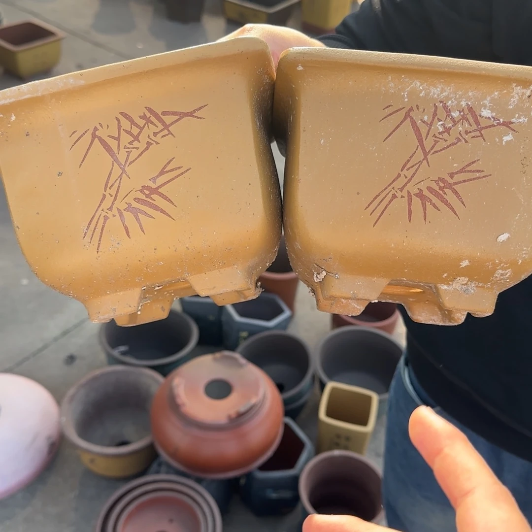 花盆紫砂口径15.8口径