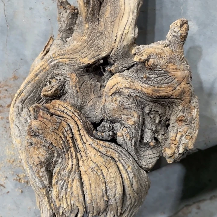 炁*我们都是好孩子呀