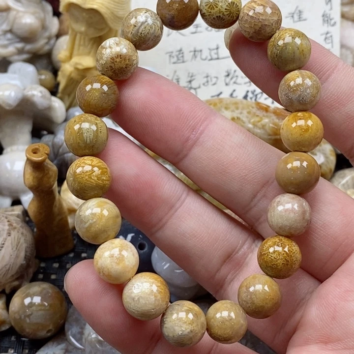 颈饰未镶嵌硅化珊瑚（珊瑚玉）