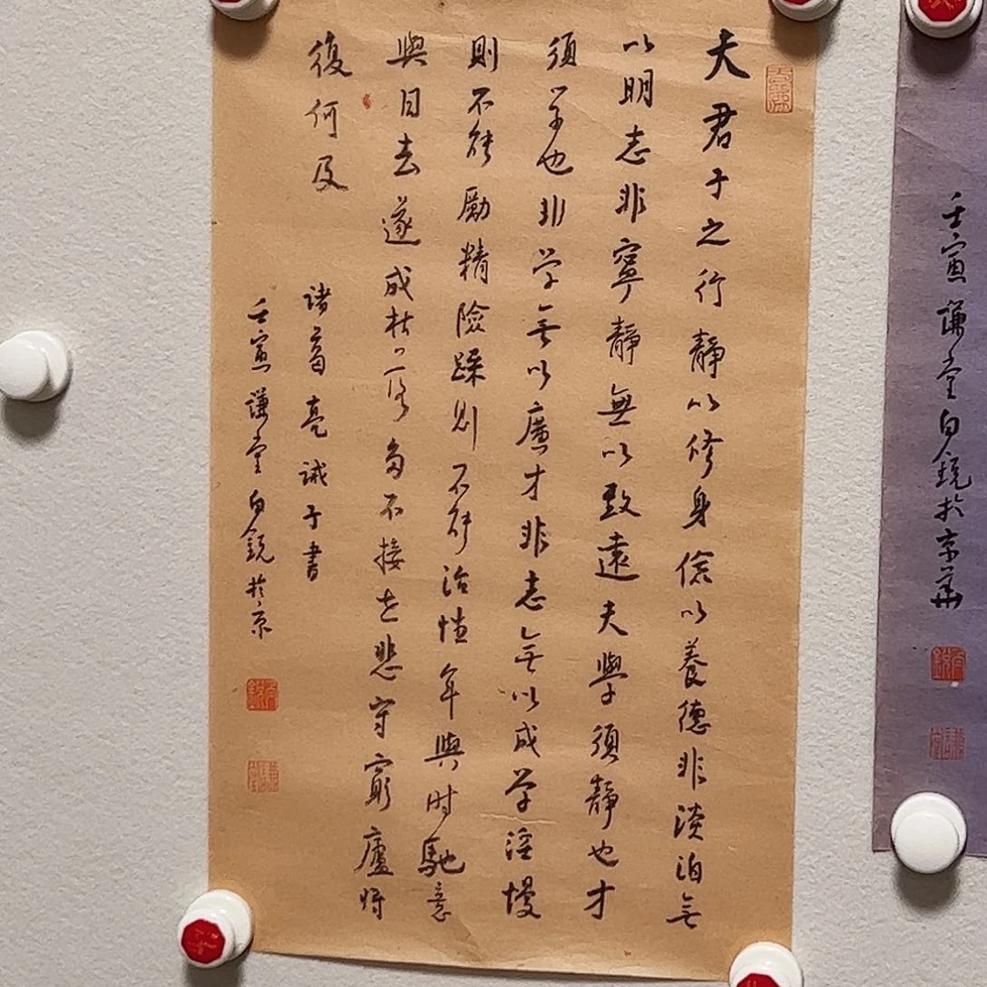 纸本书法（a17966）诫子书 书画