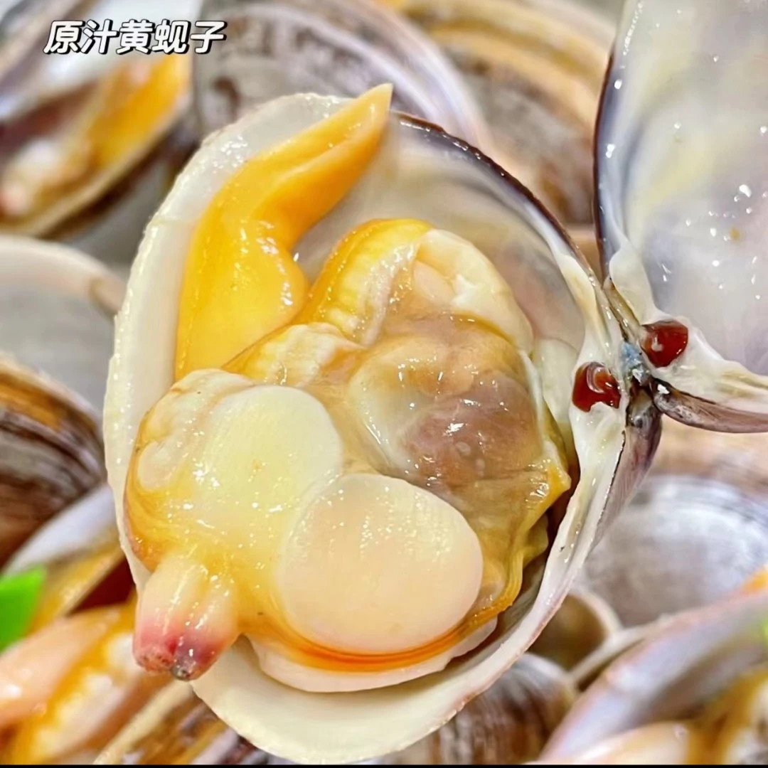 东港黄蚬子4斤 一斤22个左右 顺丰发货