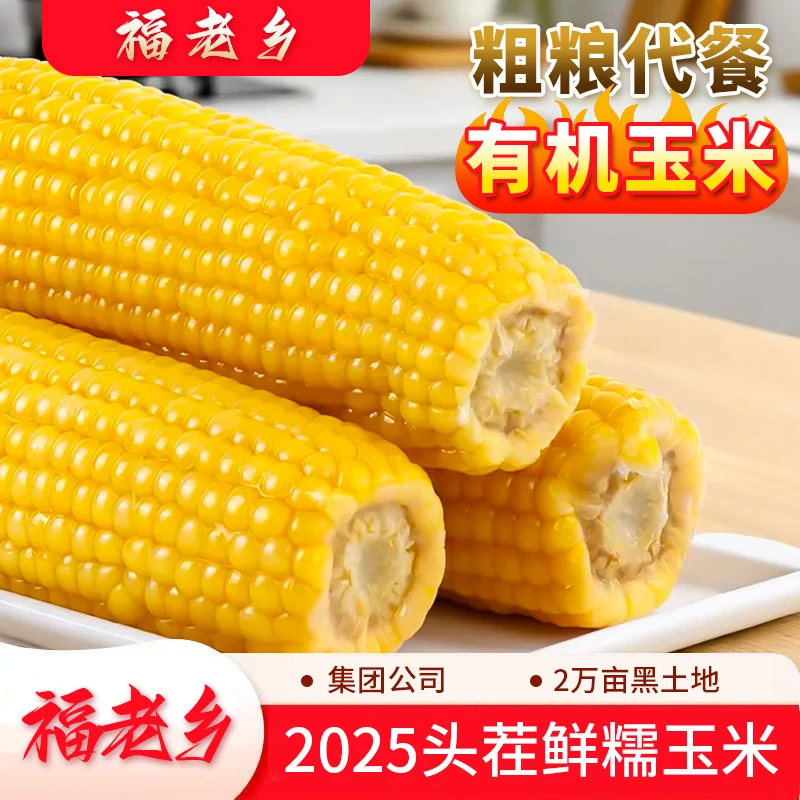 2025头茬福老乡有机糯玉米东北粘玉米软糯香甜有嚼劲真空包装