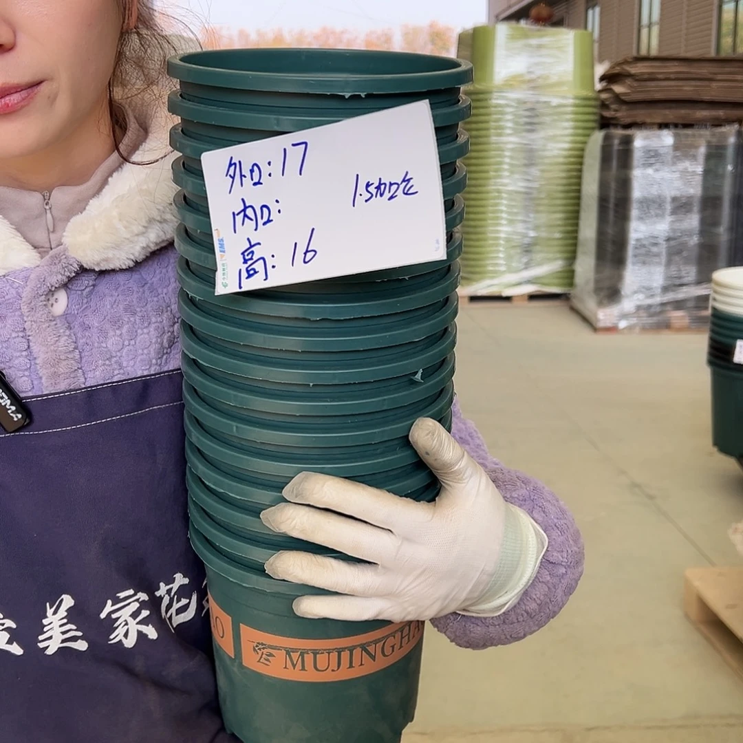 瑕疵加仑盆1.5墨绿16个无托