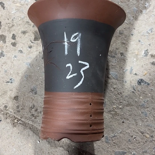 紫砂工艺厂……紫砂工艺厂……