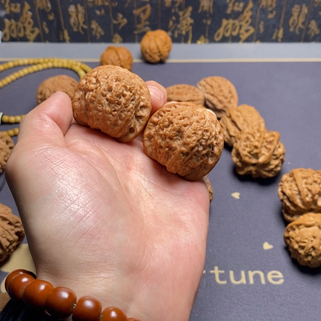 核桃把件橘*海39.5血麒麟