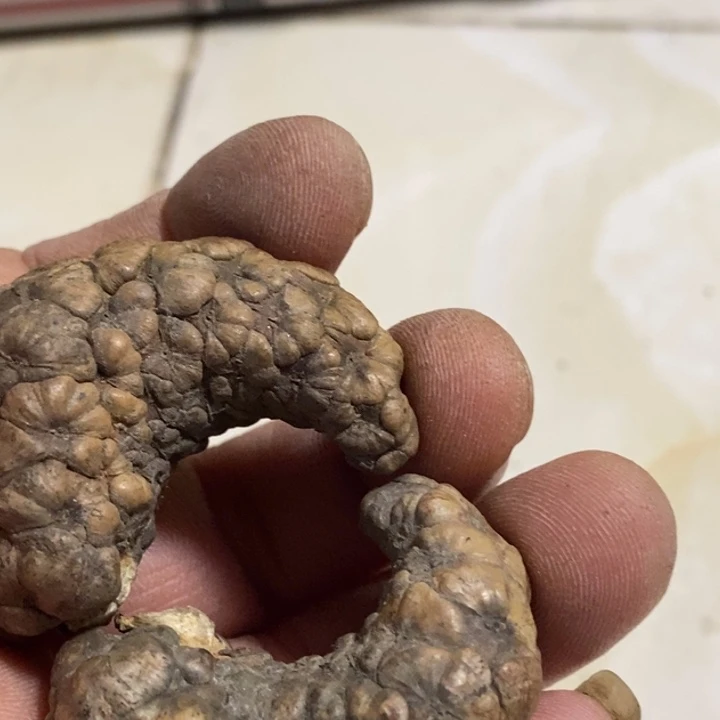吊坠文玩核桃东北东北特产8