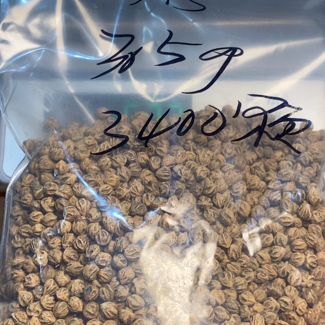 吊坠柏香籽/百香籽