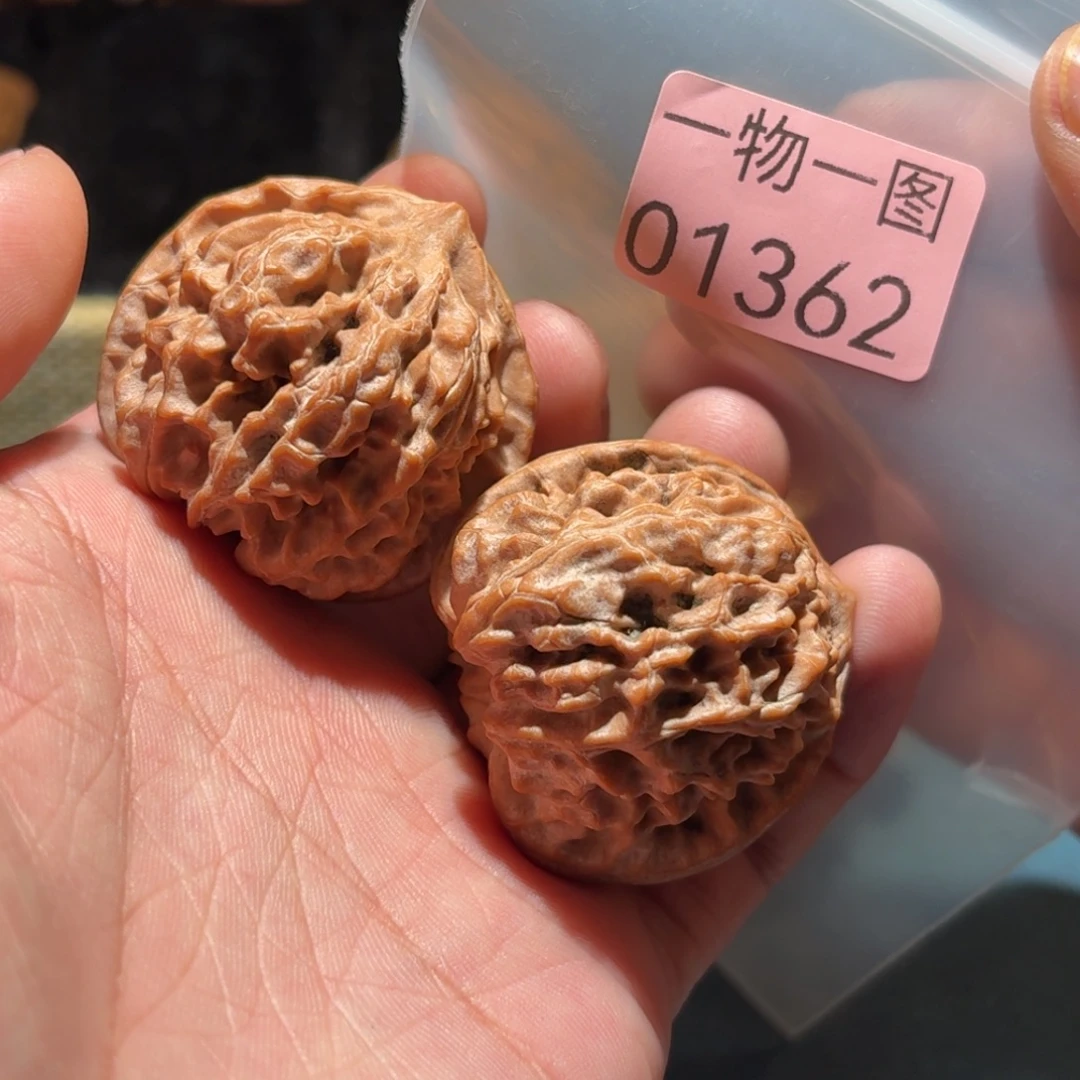 文玩核桃手串红珊瑚