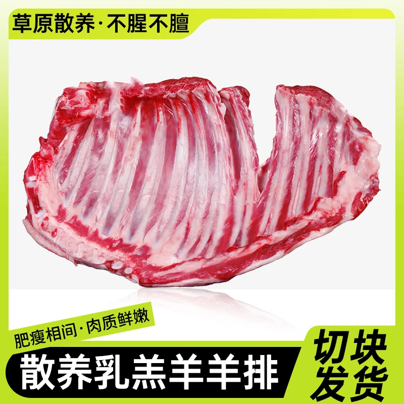 【羊排切块】5斤羊排羊肉新鲜手抓羊肉乳羔羊肉烧烤生鲜食材切块Z