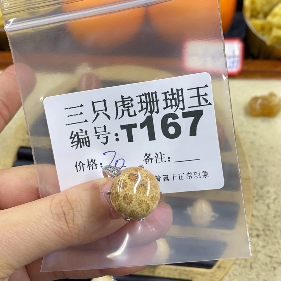 硅化珊瑚（珊瑚玉）1未镶嵌财****班