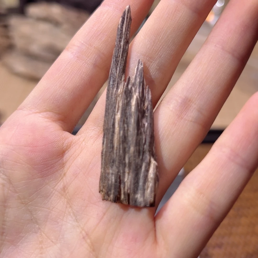 【闪购商品】香榧木海南木料尖峰岭树心1.6克