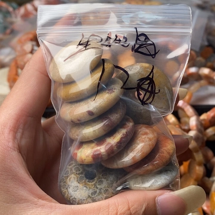 *****颈饰未镶嵌硅化珊瑚（珊瑚玉）
