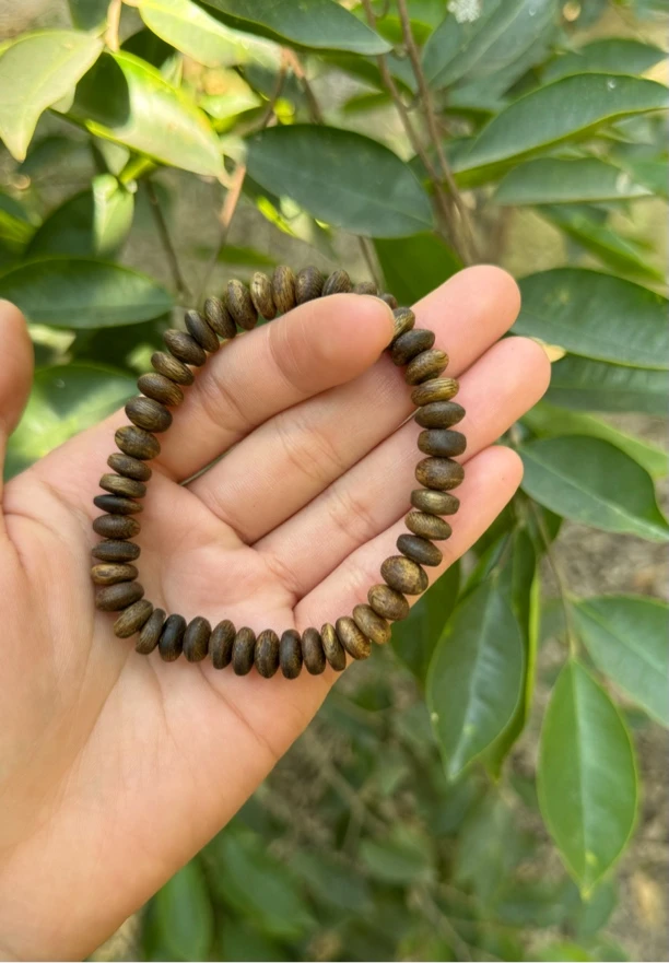 奇楠沉香虫漏算盘珠多样性发一条