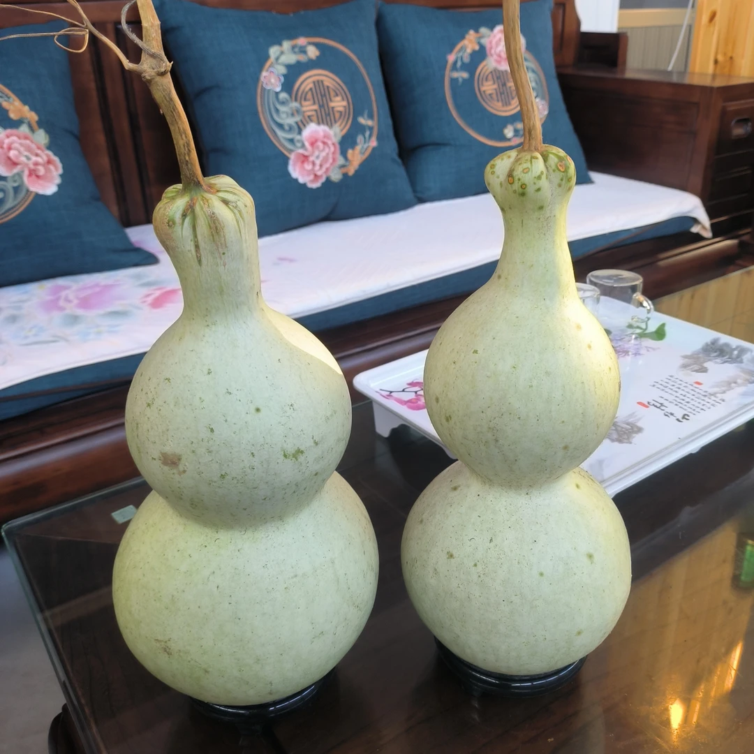 中号八宝葫芦种，一元一个，十元十个