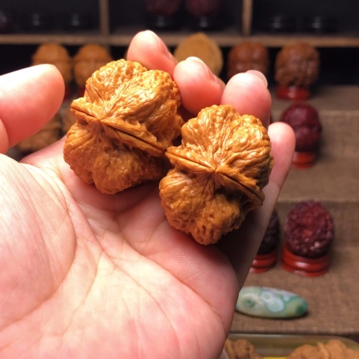 把件橄榄核62霸王龙脊37