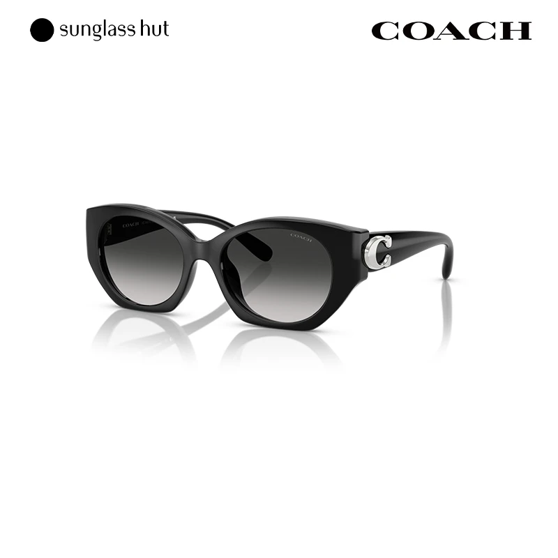 COACH/蔻驰【 新品】渐变色太阳眼镜女墨镜椭圆形0HC8407U