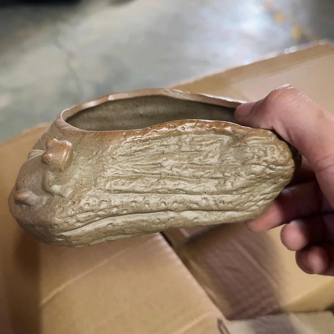 福利局绿植多肉盆［凑9元包邮24小时发］